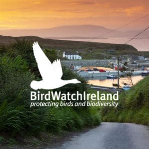 Réadlann Éan Oileán Chléire